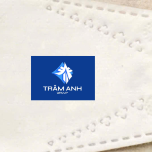 Khẩu Trang KF94 In Logo Trâm Anh Group
