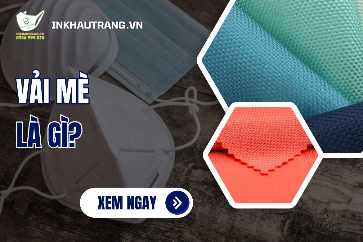 [Thumnail] Vải mè là gì?