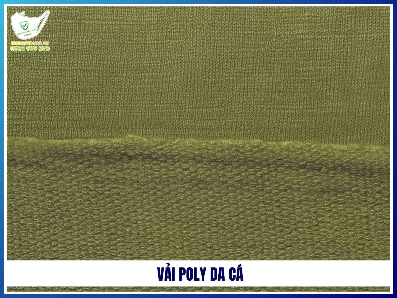 Vải poly da cá
